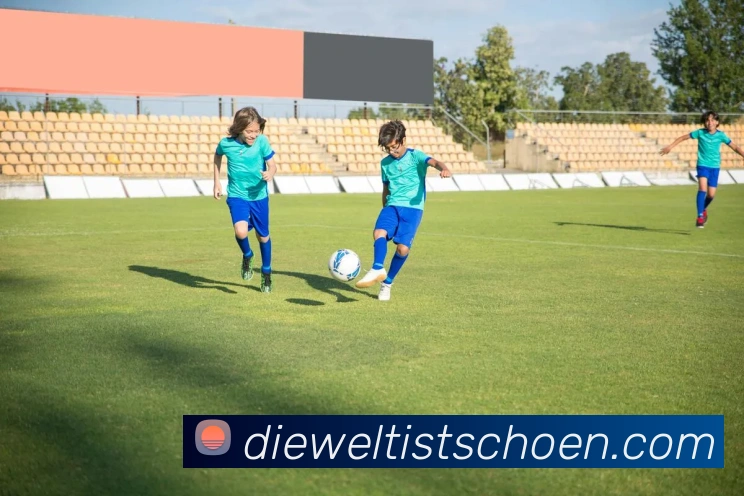 登录器 登录器